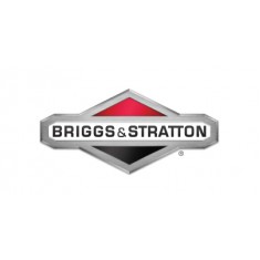 BRİGGS % STRATTON